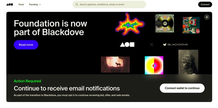 Foundationの公式サイト画像