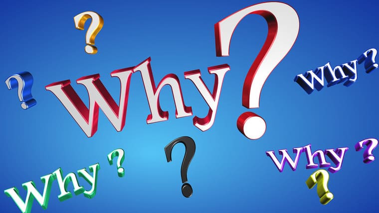 Whyのイラスト画像